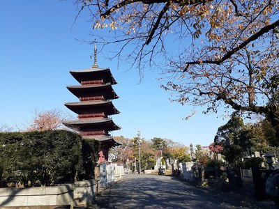 板橋歩こう会　品川⑧.jpg